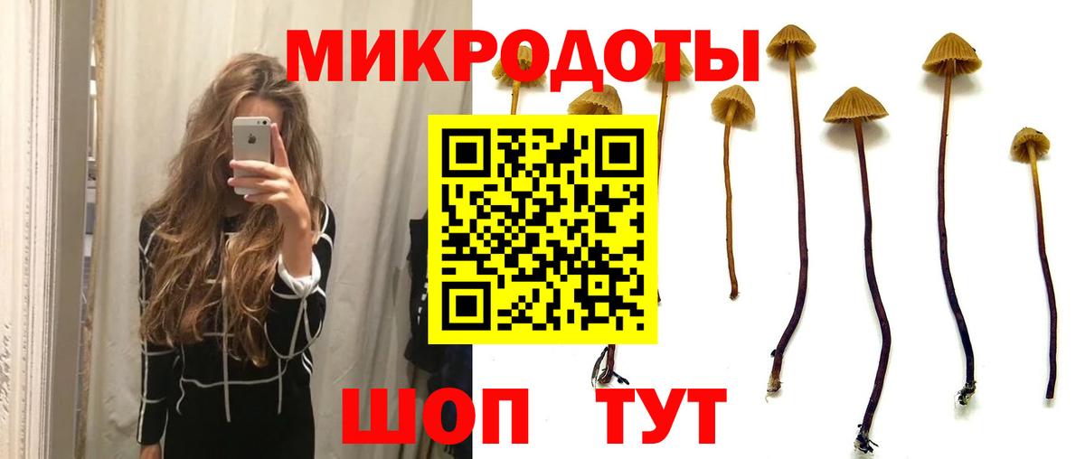 Гурьевск  Псилоцибиновые грибы мицелий  Вход с VPN 